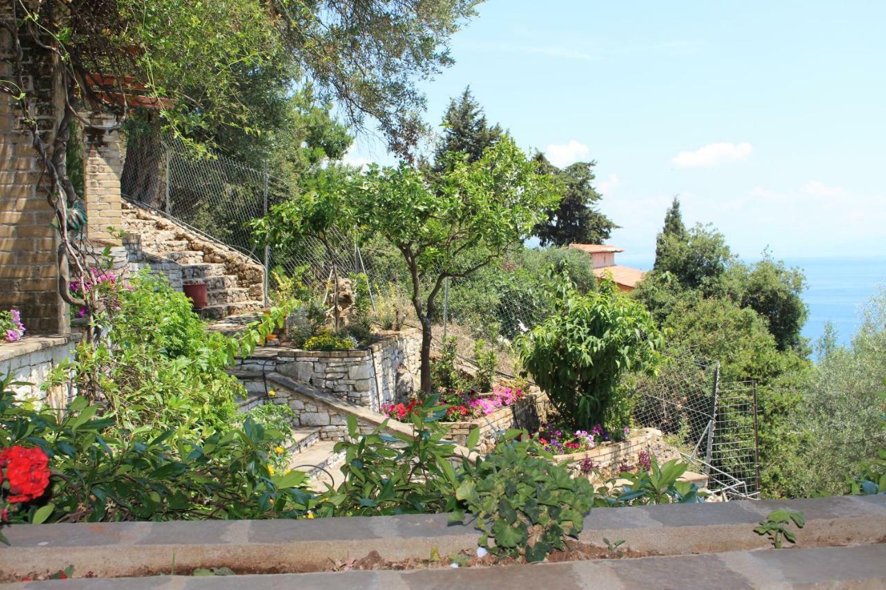 Aris Studio Corfu Pyrgi  Экстерьер фото